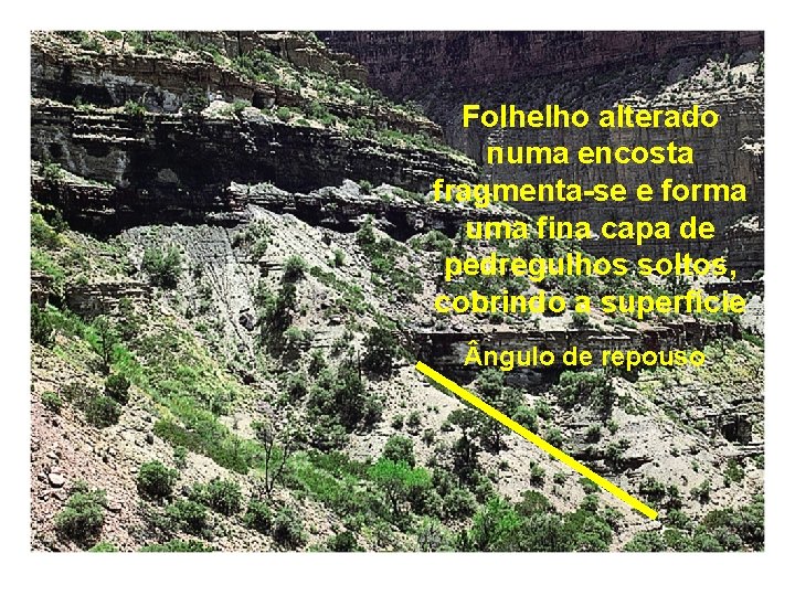 Folhelho alterado numa encosta fragmenta-se e forma uma fina capa de pedregulhos soltos, cobrindo