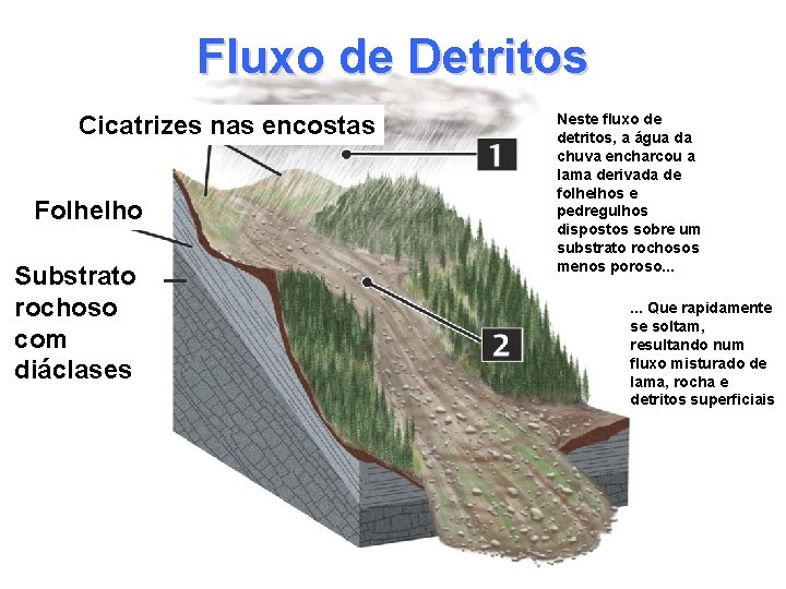 Fluxo de Detritos Cicatrizes nas encostas Folhelho Substrato rochoso com diáclases Neste fluxo de