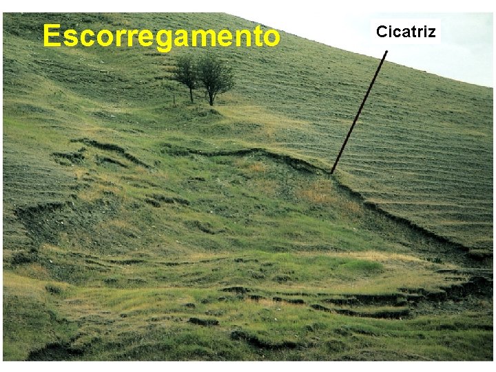 Escorregamento Cicatriz 