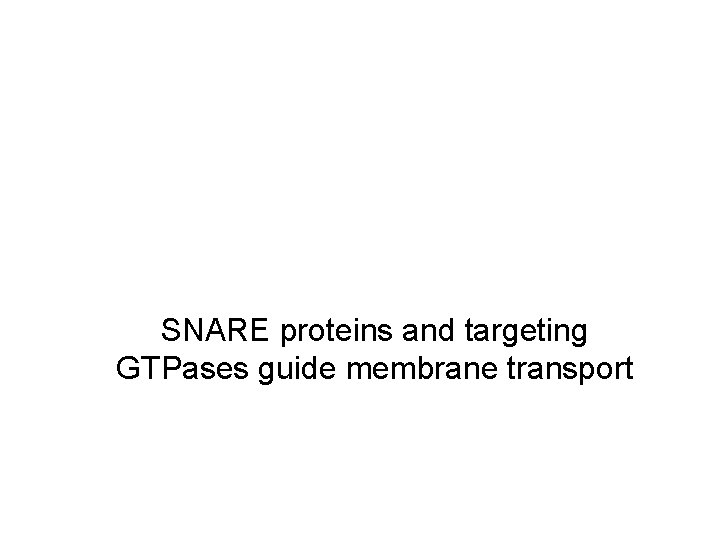 SNARE proteins and targeting GTPases guide membrane transport 