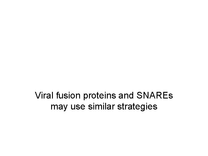 Viral fusion proteins and SNAREs may use similar strategies 