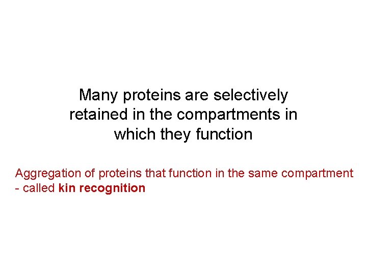 Many proteins are selectively retained in the compartments in which they function Aggregation of