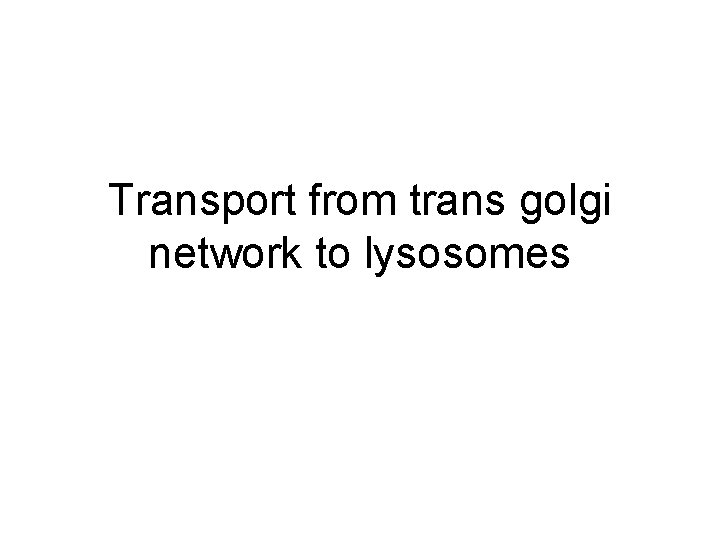 Transport from trans golgi network to lysosomes 