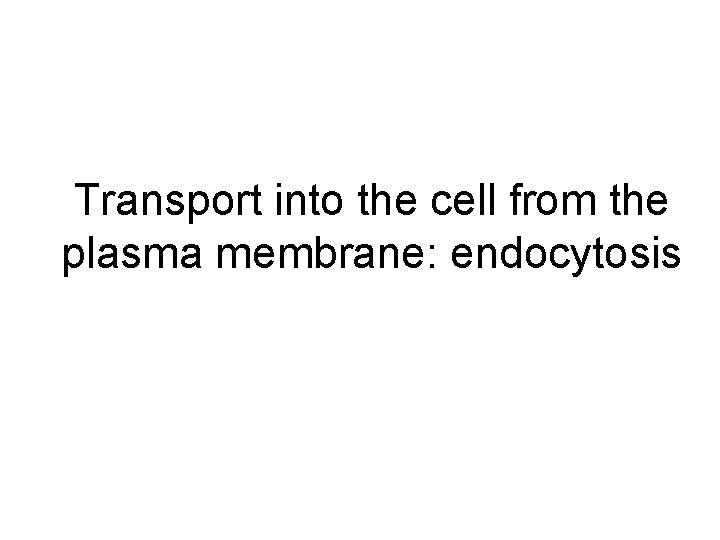 Transport into the cell from the plasma membrane: endocytosis 