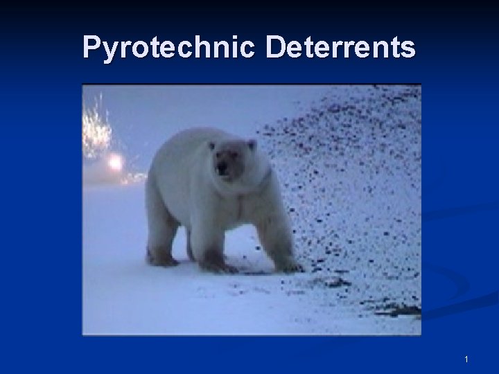 Pyrotechnic Deterrents 1 