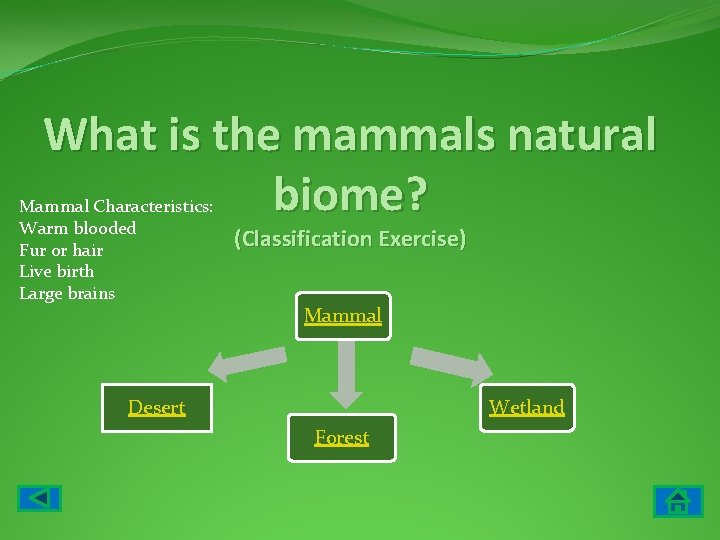 What is the mammals natural biome? Mammal Characteristics: Warm blooded Fur or hair Live