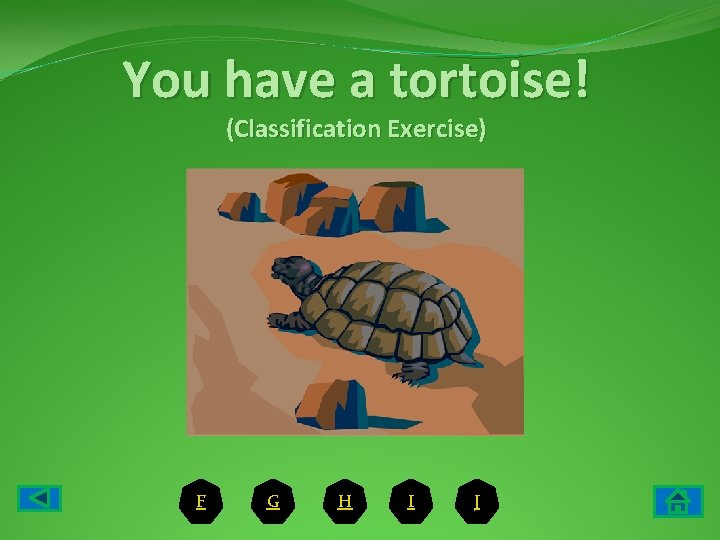 You have a tortoise! (Classification Exercise) F G H I J 