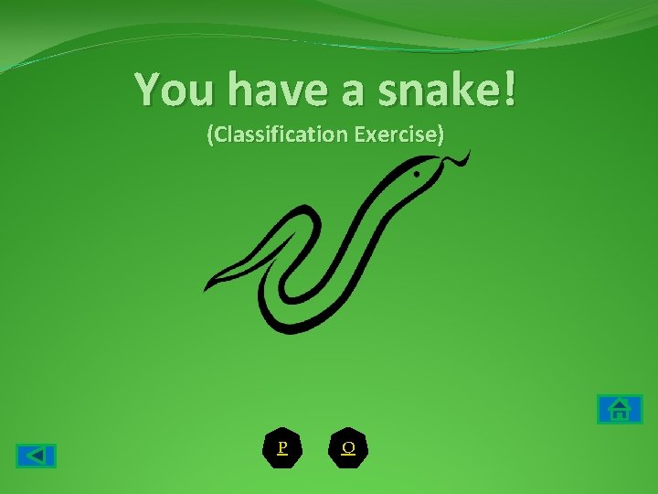 You have a snake! (Classification Exercise) P Q 