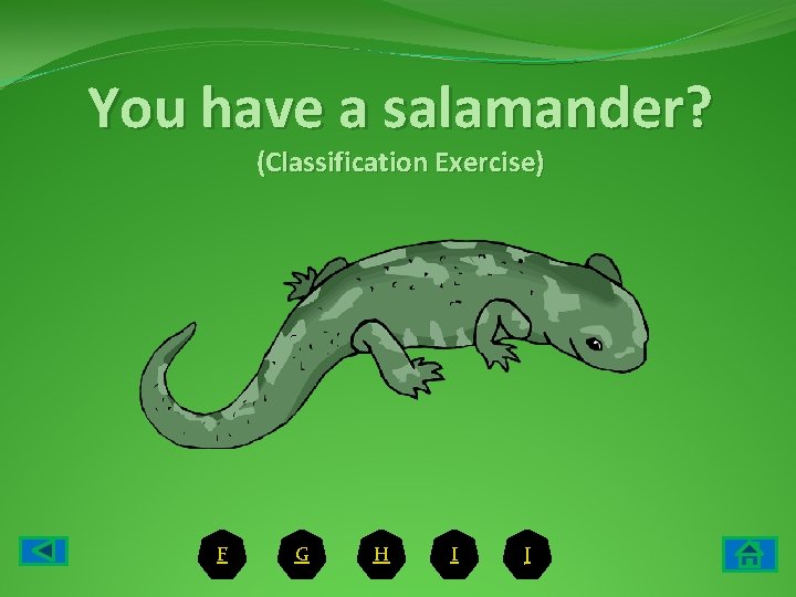 You have a salamander? (Classification Exercise) F G H I J 