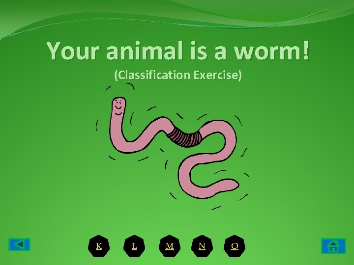 Your animal is a worm! (Classification Exercise) K L M N O 