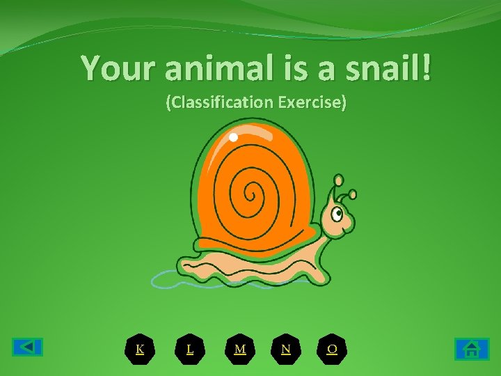 Your animal is a snail! (Classification Exercise) K L M N O 