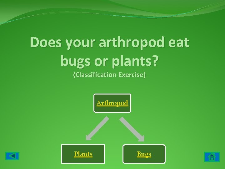 Does your arthropod eat bugs or plants? (Classification Exercise) Arthropod Plants Bugs 