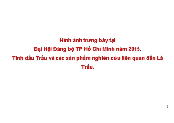 Hình ảnh trưng bày tại Đại Hội Đảng bộ TP Hồ Chí Minh năm