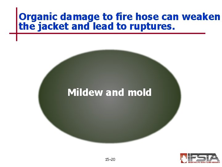 Organic damage to fire hose can weaken the jacket and lead to ruptures. Mildew