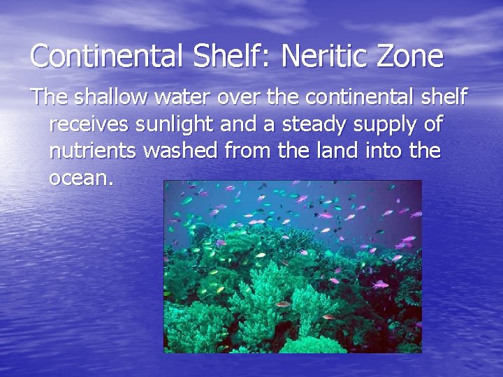 Continental Shelf: Neritic Zone The shallow water over the continental shelf receives sunlight and