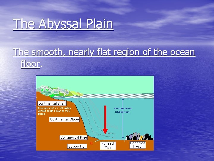 The Abyssal Plain The smooth, nearly flat region of the ocean floor. 