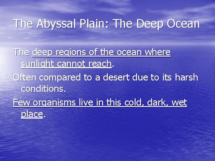 The Abyssal Plain: The Deep Ocean The deep regions of the ocean where sunlight