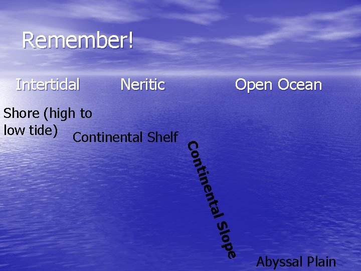 Remember! Intertidal Neritic l Sl nta tine Con Shore (high to low tide) Continental