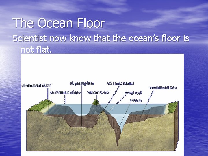 The Ocean Floor Scientist now know that the ocean’s floor is not flat. 