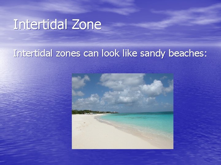 Intertidal Zone Intertidal zones can look like sandy beaches: 