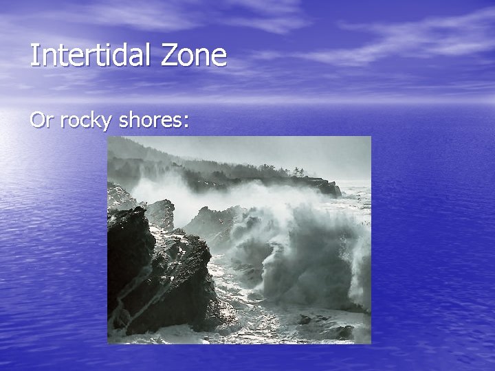 Intertidal Zone Or rocky shores: 