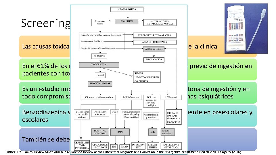 Screening toxicológico Las causas tóxicas pueden generalmente ser identificadas de la clínica En el Screening toxicológico Las causas tóxicas pueden generalmente ser identificadas de la clínica En el