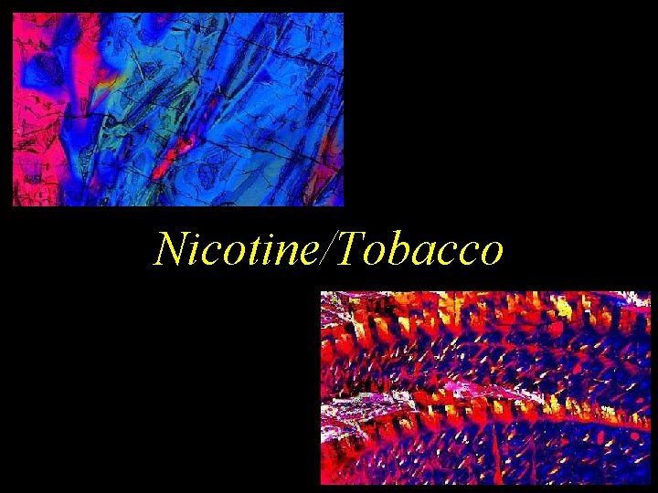 Nicotine/Tobacco 