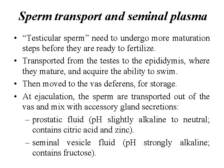 Sperm transport and seminal plasma • “Testicular sperm” need to undergo more maturation steps