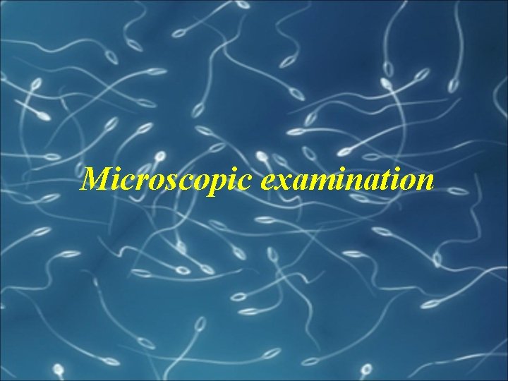 Microscopic examination 