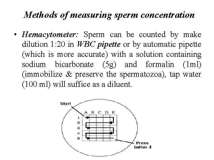 Methods of measuring sperm concentration • Hemacytometer: Sperm can be counted by make dilution