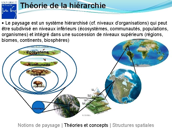 Théorie de la hiérarchie Le paysage est un système hiérarchisé (cf. niveaux d’organisations) qui