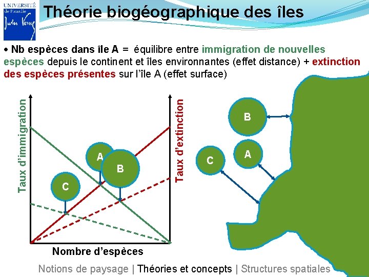 Théorie biogéographique des îles A B C Taux d’extinction Taux d’immigration Nb espèces dans