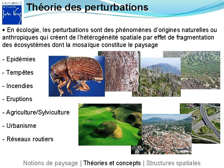 Théorie des perturbations En écologie, les perturbations sont des phénomènes d’origines naturelles ou anthropiques