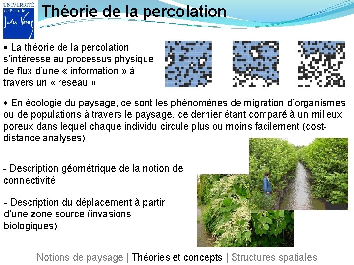 Théorie de la percolation La théorie de la percolation s’intéresse au processus physique de