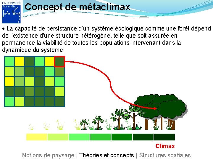 Concept de métaclimax La capacité de persistance d’un système écologique comme une forêt dépend