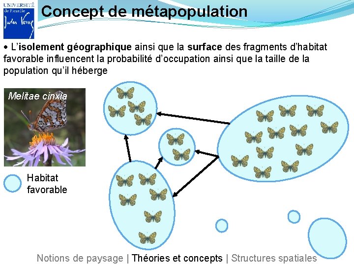 Concept de métapopulation L’isolement géographique ainsi que la surface des fragments d’habitat favorable influencent