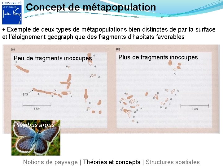 Concept de métapopulation Exemple de deux types de métapopulations bien distinctes de par la