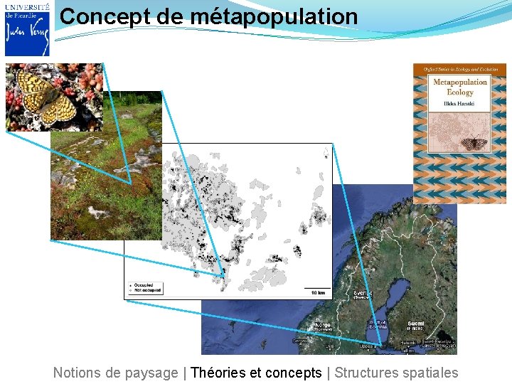 Concept de métapopulation Notions de paysage | Théories et concepts | Structures spatiales 