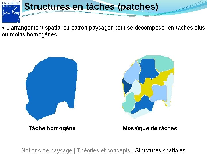 Structures en tâches (patches) L’arrangement spatial ou patron paysager peut se décomposer en tâches