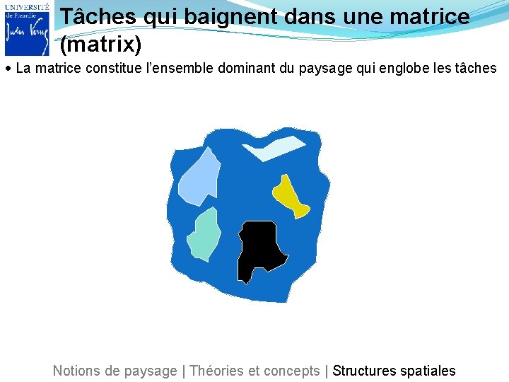 Tâches qui baignent dans une matrice (matrix) La matrice constitue l’ensemble dominant du paysage