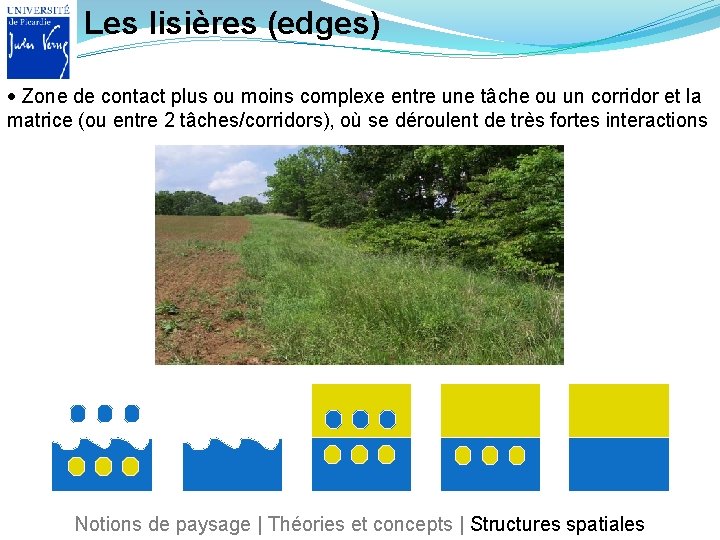 Les lisières (edges) Zone de contact plus ou moins complexe entre une tâche ou