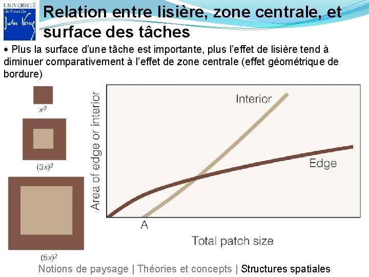 Relation entre lisière, zone centrale, et surface des tâches Plus la surface d’une tâche