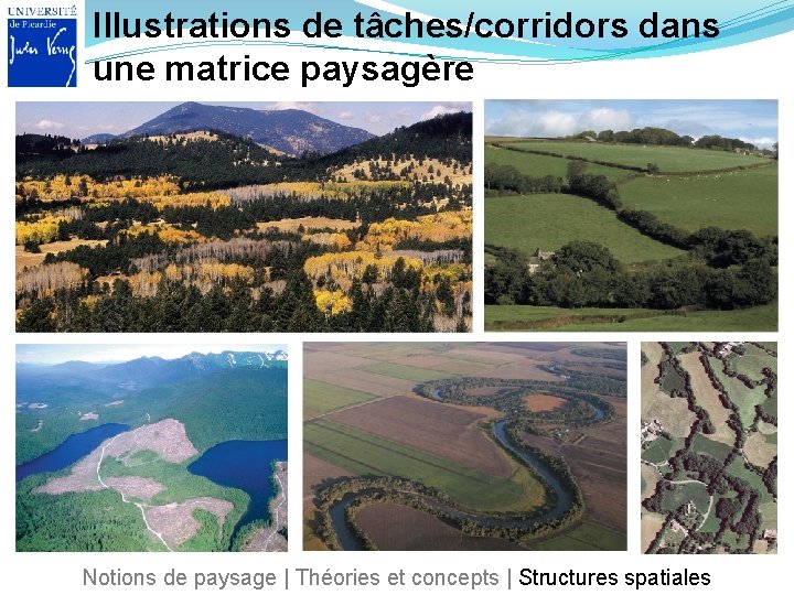 Illustrations de tâches/corridors dans une matrice paysagère Notions de paysage | Théories et concepts