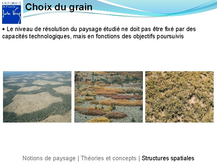 Choix du grain Le niveau de résolution du paysage étudié ne doit pas être