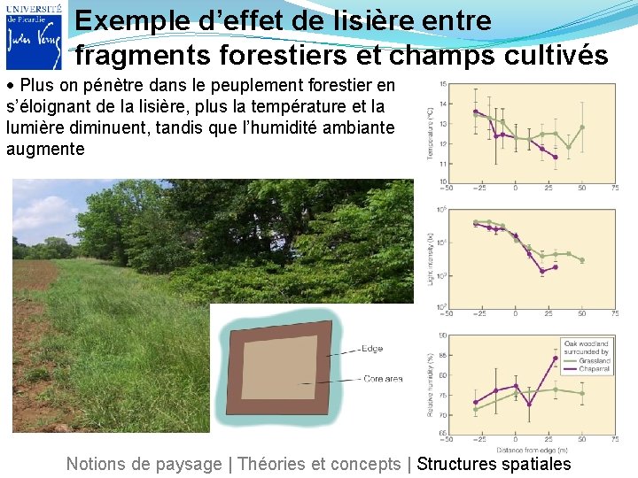 Exemple d’effet de lisière entre fragments forestiers et champs cultivés Plus on pénètre dans