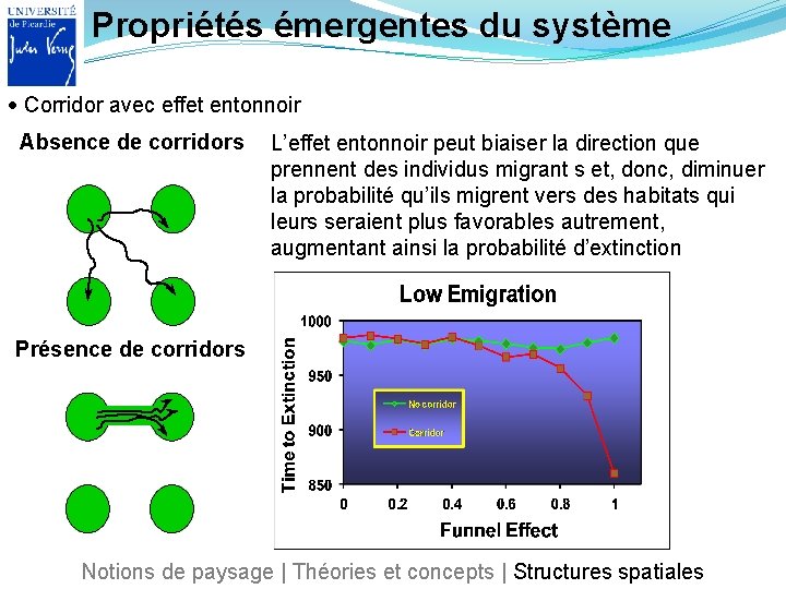 Propriétés émergentes du système Corridor avec effet entonnoir Absence de corridors L’effet entonnoir peut