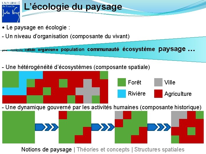 L’écologie du paysage Le paysage en écologie : - Un niveau d’organisation (composante du