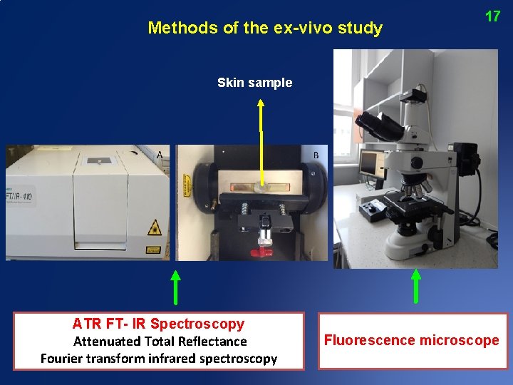 Methods of the ex-vivo study 17 Skin sample ATR FT- IR Spectroscopy Attenuated Total