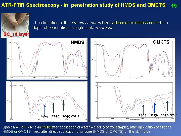 ATR-FTIR Spectroscopy - in penetration study of HMDS and OMCTS 19 - Fractionation of