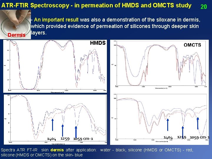 ATR-FTIR Spectroscopy - in permeation of HMDS and OMCTS study Dermis 20 - An